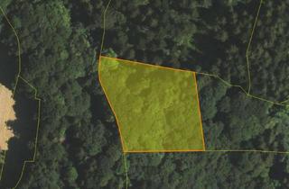 Grundstück zu kaufen in 83737 Irschenberg, schönes Waldgrundstück in Irschenberg