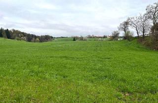 Grundstück zu kaufen in 83737 Irschenberg, landwirtschaftliche Gründlandfläche in Irschenberg