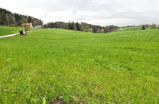 Grundstück zu kaufen in 83737 Irschenberg, landwirtschaftliche Grünlandfläche in Irschenberg