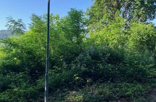 Grundstück zu kaufen in Selbacher Weg 45, 76593 Gernsbach, Baugrundstück in Gernsbach in Aussichtslage