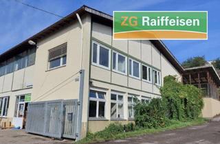 Gewerbeimmobilie kaufen in Weilheimer Straße 15, 79761 Waldshut-Tiengen, Vielseitiger Gewerbekomplex mit Entwicklungspotenzial – 5.942 m² Grundstück im Mischgebiet