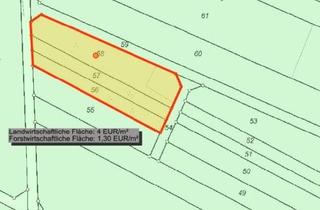 Gewerbeimmobilie kaufen in 63512 Hainburg, Landwirtschaftliches Grundstück in Klein-Krotzenburg