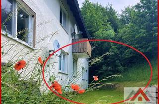 Wohnung kaufen in 34508 Willingen, Eigentumswohnung mit kleinem Garten und Garage