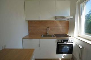Wohnung mieten in Am Wiesengrund, 24616 Brokstedt, Helle, kernsanierte 1-Zimmer-Wohnung zum Wohlfühlen