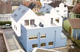Wohnung mieten in Pfarrgasse 12, 63110 Rodgau, Erstbezug Neubau Etagenwohnung