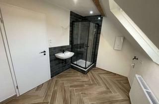 Wohnung mieten in 56729 Ettringen, Single-Wohnung zu vermieten - Erstbezug nach Komplettsanierung