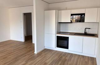 Wohnung mieten in Hagedornstraße 92, 12487 Johannisthal, Erstbezug // Neubau // Großzügige 3-Zimmer-Wohnung mit Balkon und EBK