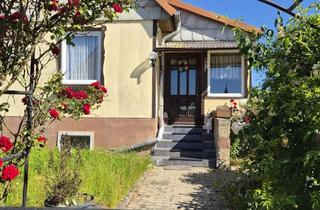 Einfamilienhaus kaufen in 06268 Querfurt, Viel Platz in Querfurt: Einfamilienhaus mit Garage