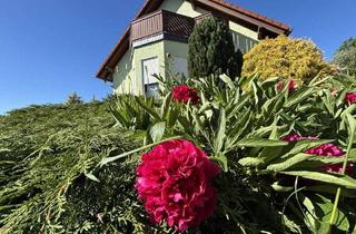 Haus kaufen in 01877 Rammenau, Neuwertiges 3-Familienhaus oder als großes EFH nutzbar in bevorzugter Siedlungslage in Rammenau