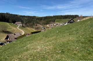 Immobilie kaufen in 78148 Gütenbach, Attraktives Baugrundstück im Schwarzwald - Naturnah mit Panoramablick!