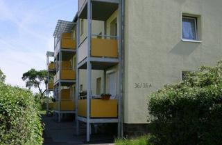 Wohnung mieten in Fabrikstraße 36, 02625 Bautzen, Herzlich willkommen in Ihrer neuen Wohnfühlwohnung - frei ab August!