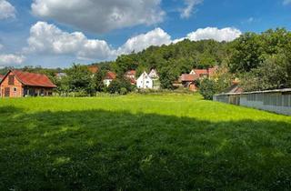 Einfamilienhaus kaufen in 06647 Bad Bibra, Bad Bibra - Einfamilienhaus mit viel Fläche, Nebengelass und Waldgrundstück