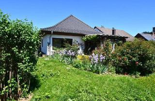 Einfamilienhaus kaufen in 64720 Michelstadt, Michelstadt - Beste Wohnlage! Einfamilienhaus mit schönem Garten in Michelstadt zu verkaufen!