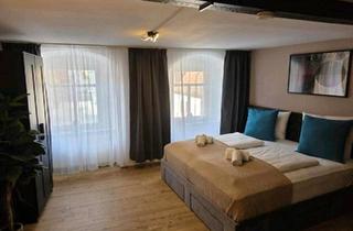 Mehrfamilienhaus kaufen in 06425 Alsleben, Alsleben (Saale) - Pension Ferienwohnung zu verkaufen