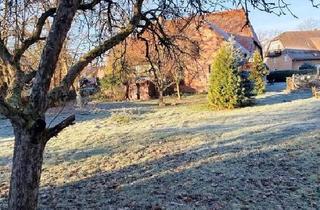 Bauernhaus kaufen in 31234 Edemissen, Edemissen - Altes Bauernhaus im denkmalgeschützten Ortskern von Edemissen