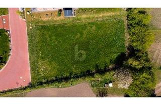 Grundstück zu kaufen in 24257 Hohenfelde, Hohenfelde - OSTSEENAH FREI BAUEN: RUHIG, SONNIG, FLEXIBEL