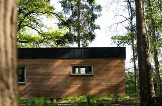 Haus kaufen in 29342 Wienhausen, Wienhausen - Energysaver Mighty House in der Alleraue Wienhausen OT Nordburg