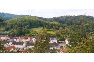 Doppelhaushälfte kaufen in 69469 Weinheim, Weinheim - Zweifamilienhaus, tolle Lage, Wohnungen saniert, neue Wärmepumpe