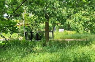 Wohnung kaufen in Horkheimerstr., 14612 Falkensee, **PROVISIONSFREI** Wohnen wie im Urlaub - nahe Landschaftsschutzgebiet