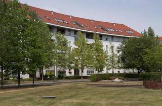 Wohnung mieten in Ballonplatz, 13125 Karow, Wohnung für Selbstrenovierer gegen Nettokaltmietenerlass - Ballonplatz 1, Dachgeschoss