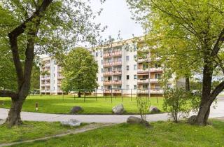 Wohnung mieten in Am Nordrand 43b, 03044 Schmellwitz, Ideale Familienwohnung im grünen Wohnumfeld