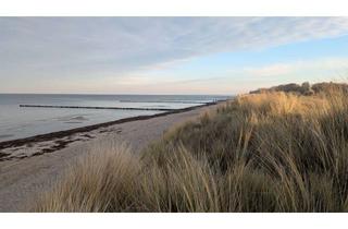 Haus kaufen in Zum Reetmoor 83 a + b, 23999 Insel Poel, Ostsee vor der Tür: Bungalow auf der Insel Poel