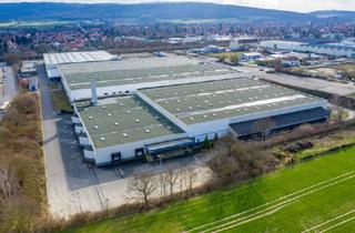 Gewerbeimmobilie mieten in Rathenaustraße, 31832 Springe, Lager-und Produktionshallen – direkt vom Eigentümer