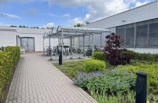 Gewerbeimmobilie mieten in Bremer Weg 182, 29223 Celle, Funktionale Produktionshalle in Celle: Effizient nutzbar