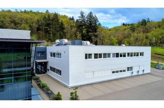 Anlageobjekt in 78333 Stockach, DGNB-Gold Gewerbeimmobilie am Bodensee | Vermietet | Rendite 6,5 %