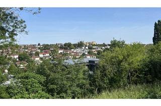 Grundstück zu kaufen in 72379 Hechingen, Großzügiges Grundstück im Zentrum