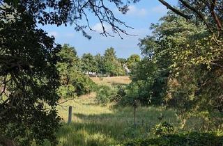 Grundstück zu kaufen in Oelsig 57, 04936 Schlieben, Baugrundstück für Naturliebhaber