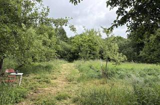 Gewerbeimmobilie kaufen in 16359 Biesenthal, 4.340 m² Natur in Biesenthal mit altem Baumbestand und Wasserlauf