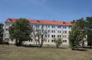 Wohnung mieten in Hochhausstraße 16, 04838 Eilenburg, preiswerte 1-Raum-Wohnung für Azubis, Studenten oder Monteure