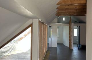 Wohnung mieten in 85456 Wartenberg, Exklusive Dachterrassenwohnung mit Blick ins Grüne im Dreifamilienhaus von privat zu vermieten