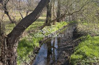 Grundstück zu kaufen in 16359 Biesenthal, 4.340 m² Natur in Biesenthal mit altem Baumbestand und Wasserlauf