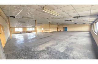 Gewerbeimmobilie mieten in 68623 Lampertheim, Große Gewerbehalle mit Lastenaufzug, Sanitärbereich und flexiblen Nutzungsmöglichkeit in Lampertheim