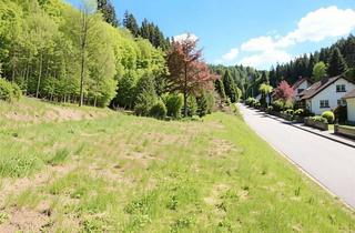 Grundstück zu kaufen in 95179 Geroldsgrün, 2.583 m² im Frankenwald – Weitblick, Natur und Ruhe nahe Bad Steben