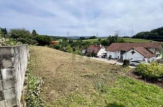 Grundstück zu kaufen in 79739 Schwörstadt, NATURNAH MIT AUSSICHT: ERSCHLOSSEN