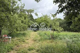 Garagen kaufen in 16359 Biesenthal, 4.340 m² Natur in Biesenthal mit altem Baumbestand und Wasserlauf