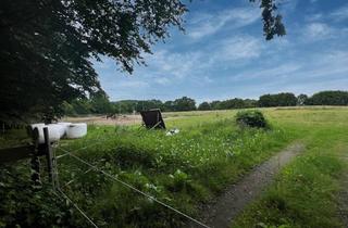 Immobilie kaufen in 23701 Eutin, Großes Grundstück in Sibbersdorf