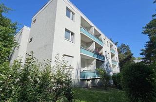 Wohnung kaufen in 13403 Berlin, Berlin - Tegel-Reinickendorf - Charmante 2-Zimmer-Wohnung mit sonniger Ostausrichtung