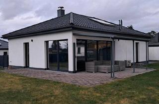 Haus kaufen in 38524 Sassenburg, Sassenburg - Bungalow am Bernsteinsee, Top Lage