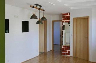Wohnung kaufen in 91207 Lauf, Lauf an der Pegnitz - Wohnen auf 2 Etagen - helle Galeriewohnung in Lauf zum Verkauf