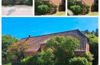 Haus kaufen in 29456 Hitzacker, Hitzacker (Elbe) - Wohnhaus Hitzacker Elbe Landkreis Lüchow-Dannenberg Tiessau