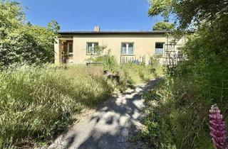 Einfamilienhaus kaufen in 12526 Berlin, Berlin - Teilbares Grundstück mit Einfamilienhaus: Wohnen auf einer Ebene