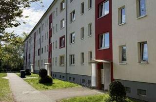 Wohnung kaufen in Hertzfeldstraße, 18059 Südstadt, frisch renoviert und sofort verfügbar