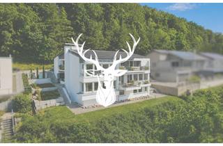 Wohnung kaufen in Im Klingnauer 18, 79761 Waldshut-Tiengen, Eindrucksvolles “Haus im Haus” mit Panoramablick und separater FeWo in Tiengen zu verkaufen