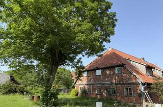 Wohnung mieten in Am Deich, 19273 Teldau, Viel Platz am Deich in Neu Garge. Zus. Möglichkeit Werkstatt/Abstellscheune oder Tierhaltung