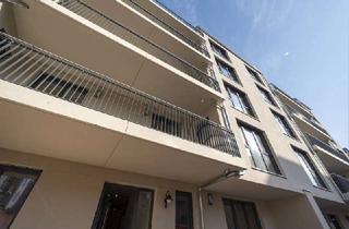 Wohnung mieten in Limbacher Straße 39, 09113 Kaßberg, Exklusiver Neubau mit Balkon/PARKETT/FuboHeizung