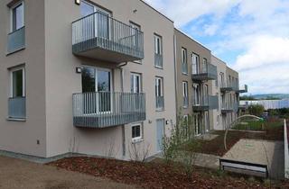 Sozialwohnungen mieten in Nickerner Weg 11, 01257 Lockwitz, rollstuhlgerechte 3-Zimmer-Wohnung frei - WBS erforderlich